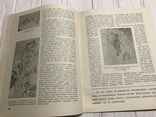 1939 Гребний спорт в українському журналі Спорт, фото №11