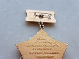 Знак Ветеран Духовщинская 184 стрелковая дивизия, фото №8