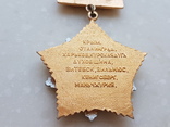Знак Ветеран Духовщинская 184 стрелковая дивизия, фото №9