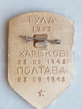 Знак Ветаран 84 сХКд стрелковая дивизия, фото №6