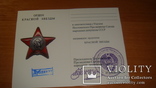 Умалотовская орденская с штампом "дубликат", фото №2