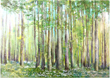 Весенний лес в цветах, фото №2