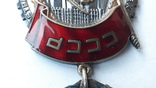 Орден Трудового Красного знамени - большой овал., фото №10