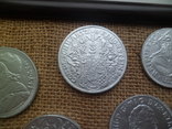Копії срібних монет  30см 21 см, фото №9