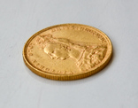 Sovereign gold, 1890, фото №4