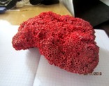 Натуральный красный коралл  (Tubipora musica) 192 гр, фото №6