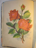 Розы. Лучшие сорта и их культура, фото №3