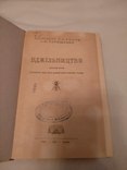 1948 Пчелы пчеловодство, фото №3