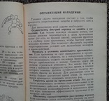 Баскетбол. (Книга для учащихся)., фото №7