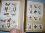Fauna i flora Bułgarii w albumie, numer zdjęcia 6