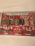 Редкие древние органические окаменелости, фото №2
