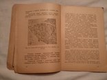 1923 Археология Крыма, фото №7