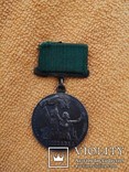 Медаль ВДНХ номер 8301, фото №2