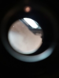 Flektogon 4/50mm, Carl Zeiss, photo number 11