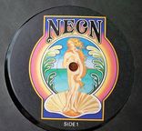 Vinyl LP Indian Summer ‎~ Indian Summer Label: PROMO RCA ‎– ADRS-5344, фото №7
