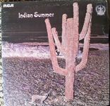 Vinyl LP Indian Summer ‎~ Indian Summer Label: PROMO RCA ‎– ADRS-5344, фото №2