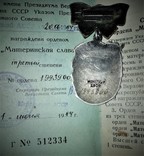 Комплект Материнская слава с документами, фото №8