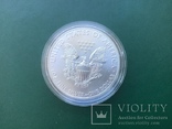 1 $ США 2015 год, 31,1 грамм серебра, фото №3