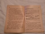 1931 Путь в колхозы журнал для малограмотных, фото №6