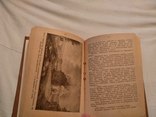 1907 Иллюстрированный календарь Михаил Качковский, фото №5