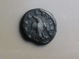 Divus Verus, фото №3