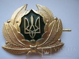 Eisenbahn Bahn MützenAbzeichen MützenEmblem кокарда Ukraine railway railroad cap badge, фото №2