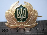Eisenbahn Bahn MützenAbzeichen MützenEmblem кокарда Ukraine railway railroad cap badge, фото №4