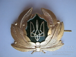 Eisenbahn Bahn MützenAbzeichen MützenEmblem кокарда Ukraine railway railroad cap badge, фото №5