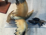 Орёл, рыба, тюльпан из кости, фото №4