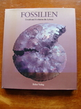 Fossilien. Ископаемые. (68), фото №2