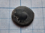 Монета Ольвия 4 век до Н.Э Орел сидящий на дельфине, фото №6