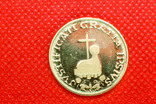 Колекція медалей Корпусу Крісті(7 шт по 7,06 г Золото Au900), фото №9