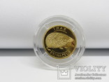 Монета "їжак" золото 2006г., фото №6
