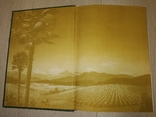 1956 Чай Каталог альбом, фото №5