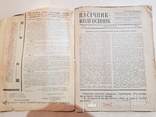 Пасічник - Колгоспник 1932 год № 9, фото №3