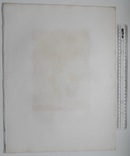 Старинная гравюра. Шекспир. "Виндзорские проказницы". 1803 год. (42 на 32 см.). Оригинал., фото №7