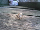 Винтажное золотое кольцо с бриллиантом., photo number 2