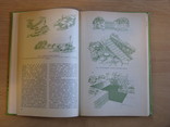 Садовый участок архитектура, интерьер, оборудование, 1991, обычный формат, фото №4