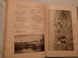 1910 А.Кольцова полное собрание сочинений, фото №4