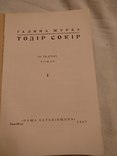 Тодір Сокір роман Галина Журба, фото №3