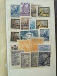 РСФСР 116 марок 1921-23 гг коллекция марок рсфср, фото №5