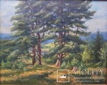 Картина ..Сосновый лес..художник Быстряков А., фото №3