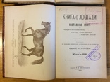 Книга о лошади князь С.П. Урусов 4 тома в 2-х книгах 2-е издание 1902 г., фото №4