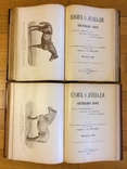 Книга о лошади князь С.П. Урусов 4 тома в 2-х книгах 2-е издание 1902 г., фото №5