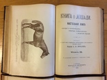 Книга о лошади князь С.П. Урусов 4 тома в 2-х книгах 2-е издание 1902 г., фото №6