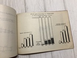 1929 Вопросы хозяйственно строительства в Диаграммах, фото №8