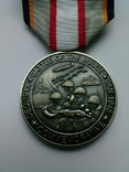 Медаль за битву в Арденнах, фото №2