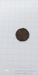 Монеты Молдавского княжества (Бычок), фото №5