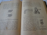 Курс хирургической терапии 1902 год., фото №7