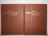 Синельников. Атлас анатомии человека. 1996 г. Том 3 и 4, фото №2